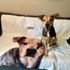 Custom Pet Blanket