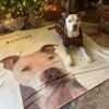 Custom Pet Blanket