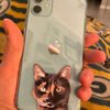 Custom Pet Portrait Phone Cases