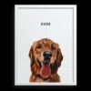 Custom One Pet Portrait