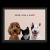 Custom Three Pet Portrait