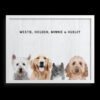 Custom Four Pet Portrait