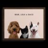 Custom Three Pet Portrait