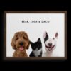Custom Three Pet Portrait