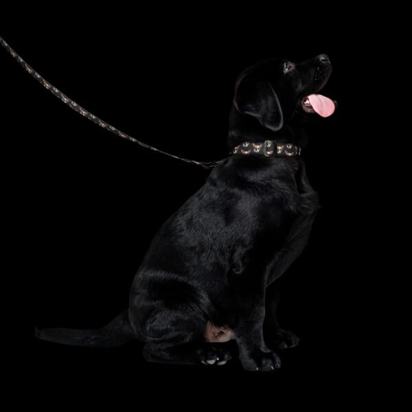 Custom Pet Portrait Collar