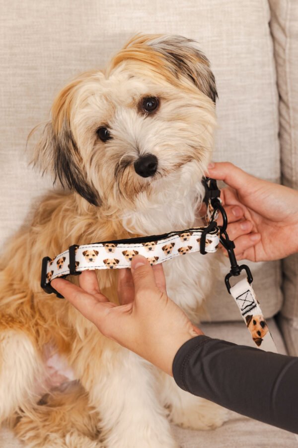 Custom Pet Portrait Collar