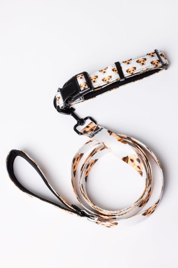 Custom Pet Portrait Collar