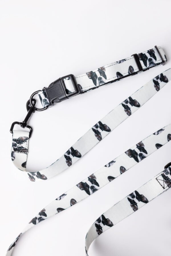 Custom Pet Portrait Collar